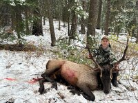 Elk 2022.jpeg