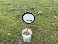 IMG_7882.jpeg