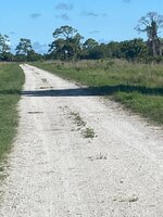 IMG_3233.jpg