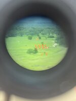 IMG_7273.jpeg