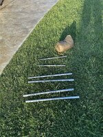 D5538B84-2C67-4822-A559-6F0D666A909A.jpeg