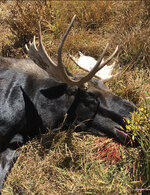 IMG_9273.jpeg IMG_9273.jpeg