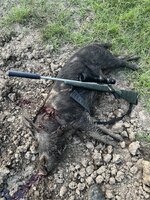 IMG_6198.jpeg