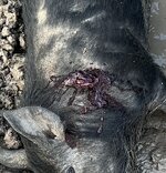 IMG_6196.jpeg