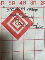 300 wsm 100 yds.jpg