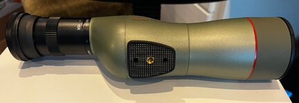 IMG_0902.jpeg