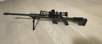 IMG_4974.jpeg