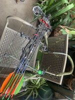 IMG_4051.jpeg