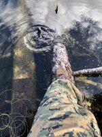IMG_1947.jpeg