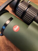 20230609_181426.jpg