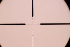 1686401539802.png
