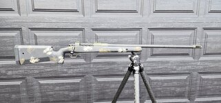 20230411_175712 (1).jpg