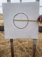 IMG_2060.jpeg