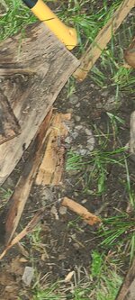 20230611_210202.jpg 20230611_210202.jpg