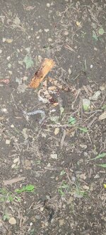 20230611_211141.jpg 20230611_211141.jpg