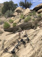 IMG_6221.jpeg