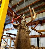 20201107_063026 (1).jpg