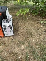 IMG_2058.jpeg