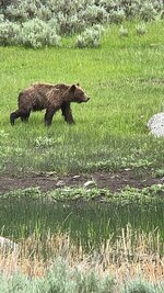 IMG_7702.jpeg