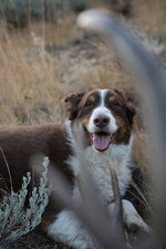 IMG_0064.jpeg