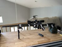IMG_4611.jpeg