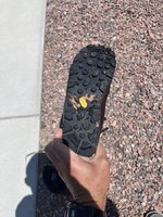 IMG_8110.jpeg
