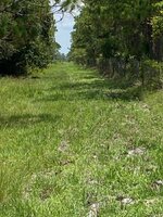 IMG_3268.jpg