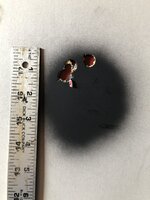 IMG_0923.jpeg