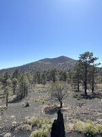 IMG_8518.jpeg