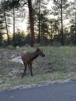 IMG_8634.jpeg