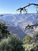 IMG_8599.jpeg