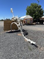 IMG_8637.jpeg
