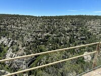 IMG_8639.jpeg