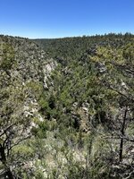 IMG_8644.jpeg