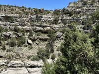 IMG_8688.jpeg