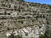 IMG_8698.jpeg