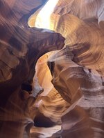 IMG_8733.jpeg