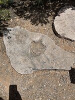 IMG_8856.jpeg