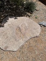 IMG_8857.jpeg