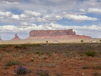 IMG_8909.jpeg