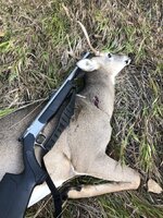 IMG_8928.jpeg