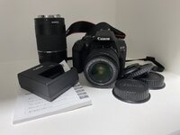 IMG_2093.jpeg