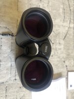 IMG_3875.jpeg