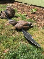 IMG_7173.jpg IMG_7173.jpg