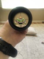 IMG_3880.jpeg