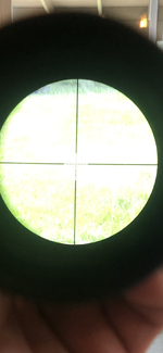 D69672AF-D45F-407D-BD09-722582953714.png