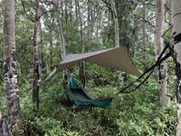 IMG_5066.jpeg