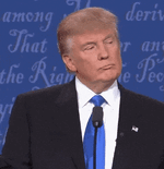 1687311558848.gif