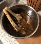 Deer Shank Stew.jpg