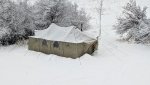 snow.jpg